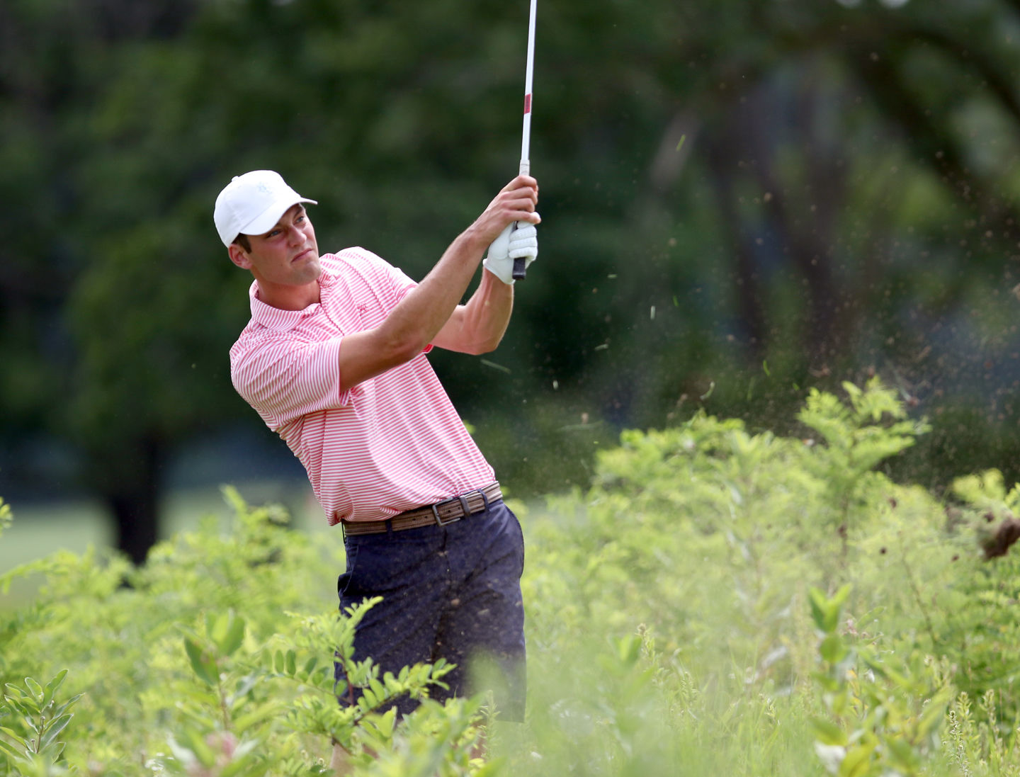 4 state am Johnson in rough.jpg